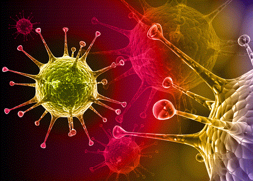 Virus hsv – thủ phạm gây mụn rộp sinh dục ở nam giới