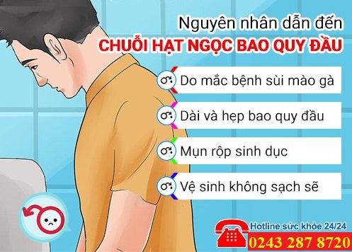 Chuot Hat Ngoc Bao Quy Dau